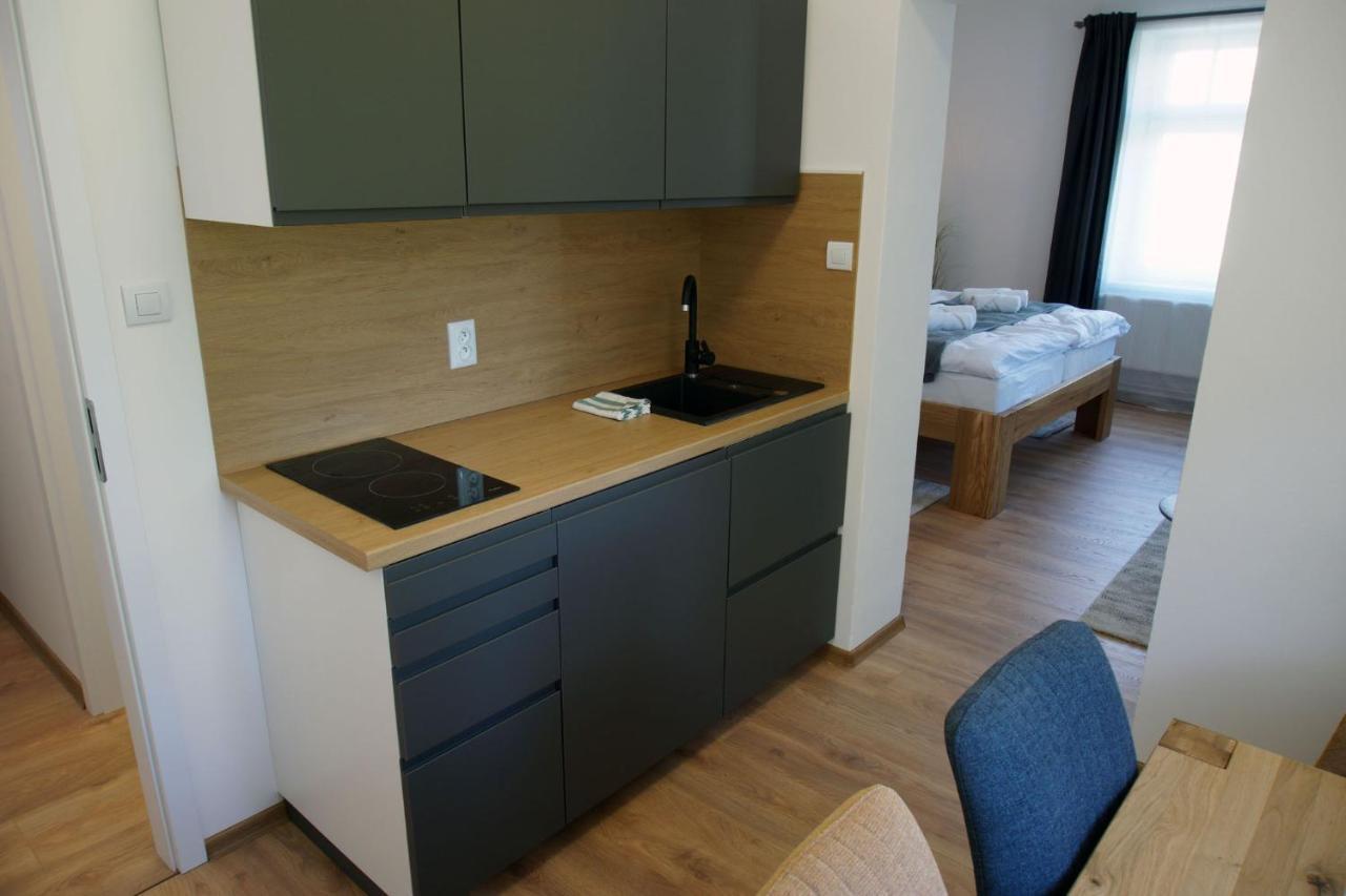 Apartmány Krásná Lípa Krasna Lipa Exterior foto
